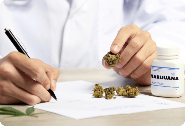 We Reveal the Benefits of Cannabis to Everyone