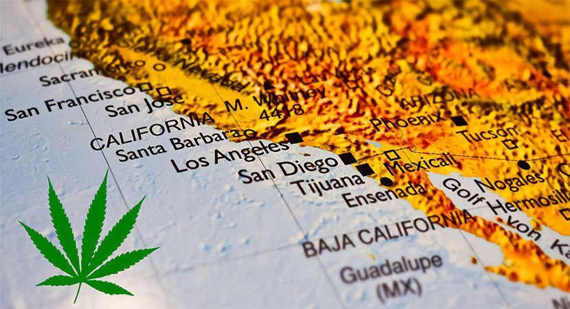 Talk to Professional Medical Marijuana Doctors in Oceanside Online