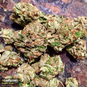 Popular Weed Strain in Los Angeles (CA)