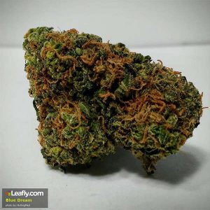 Blue Dream (Hybrid) - 1