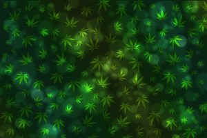 how-can-i-get-medical-cannabis-300x200.jpg
