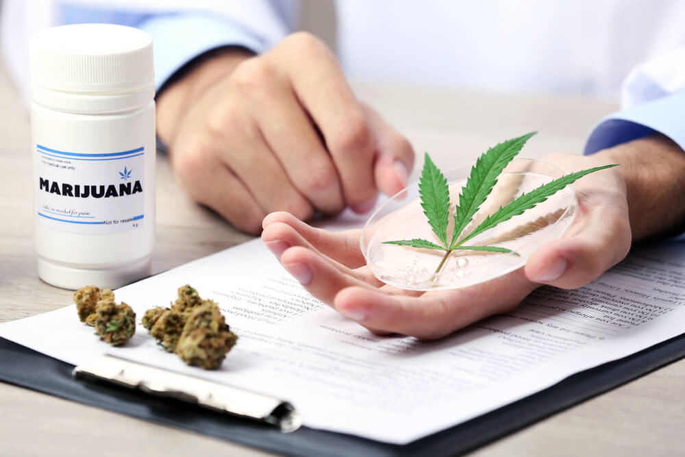 How To Get a Medical Marijuana Card in Pasadena