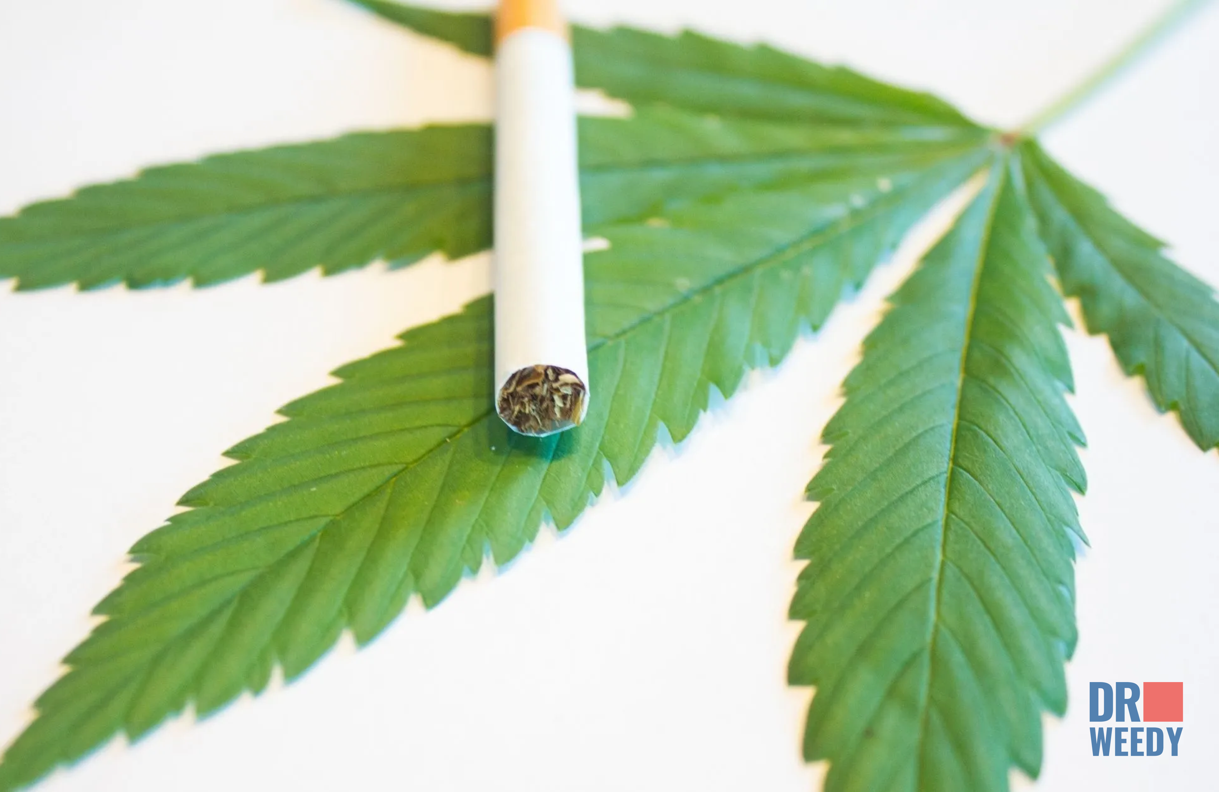 Marijuana VS Cigarettes — What Is Better For You?