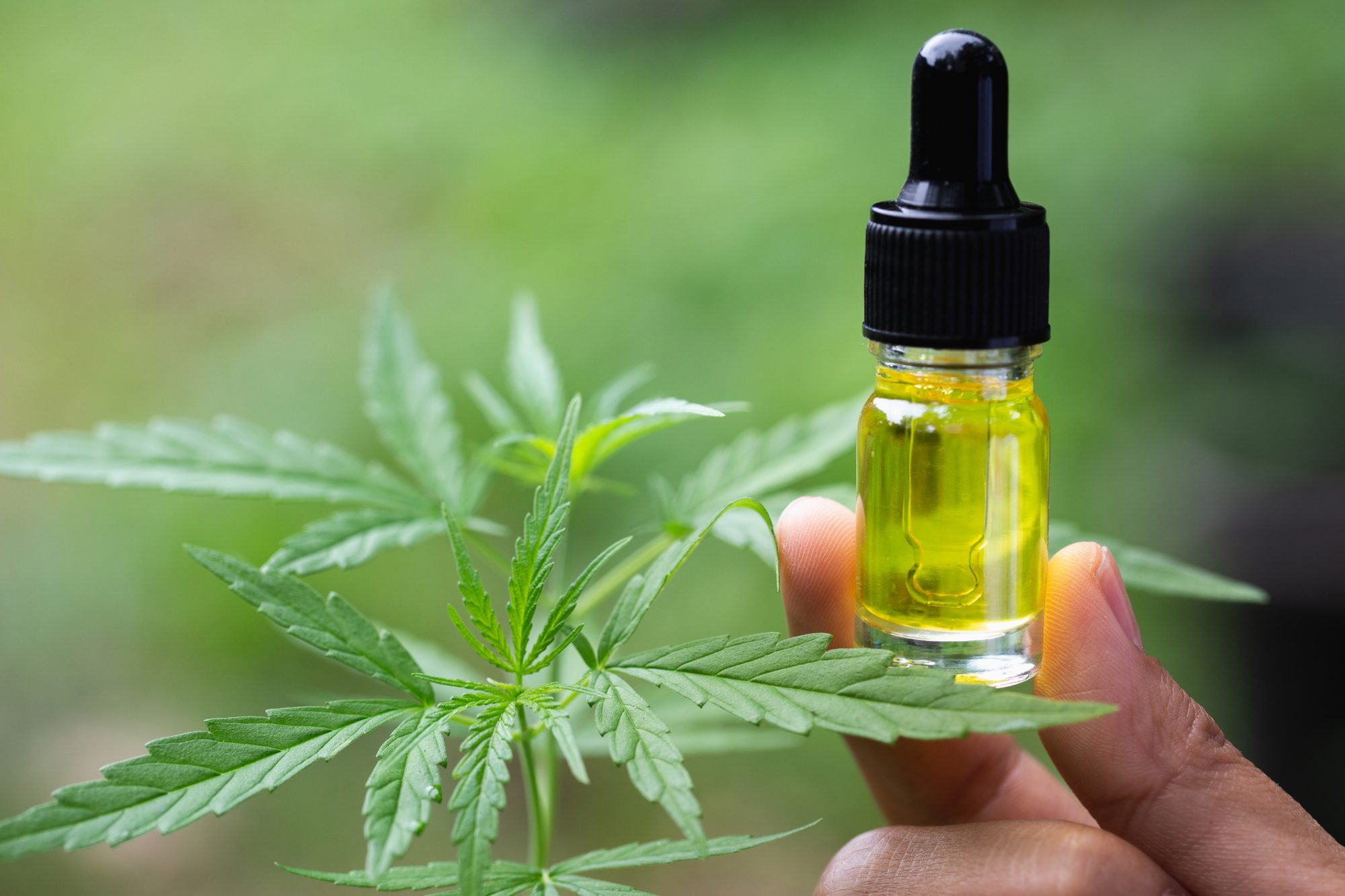 Why Mix CBD Oil With A Liquid?