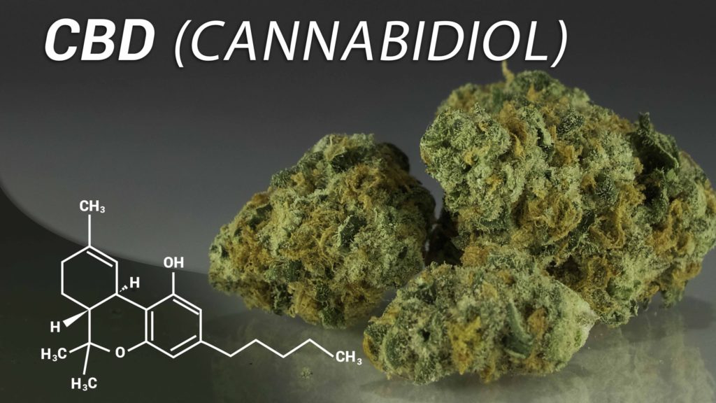 Marijuana Strains with high CBD content