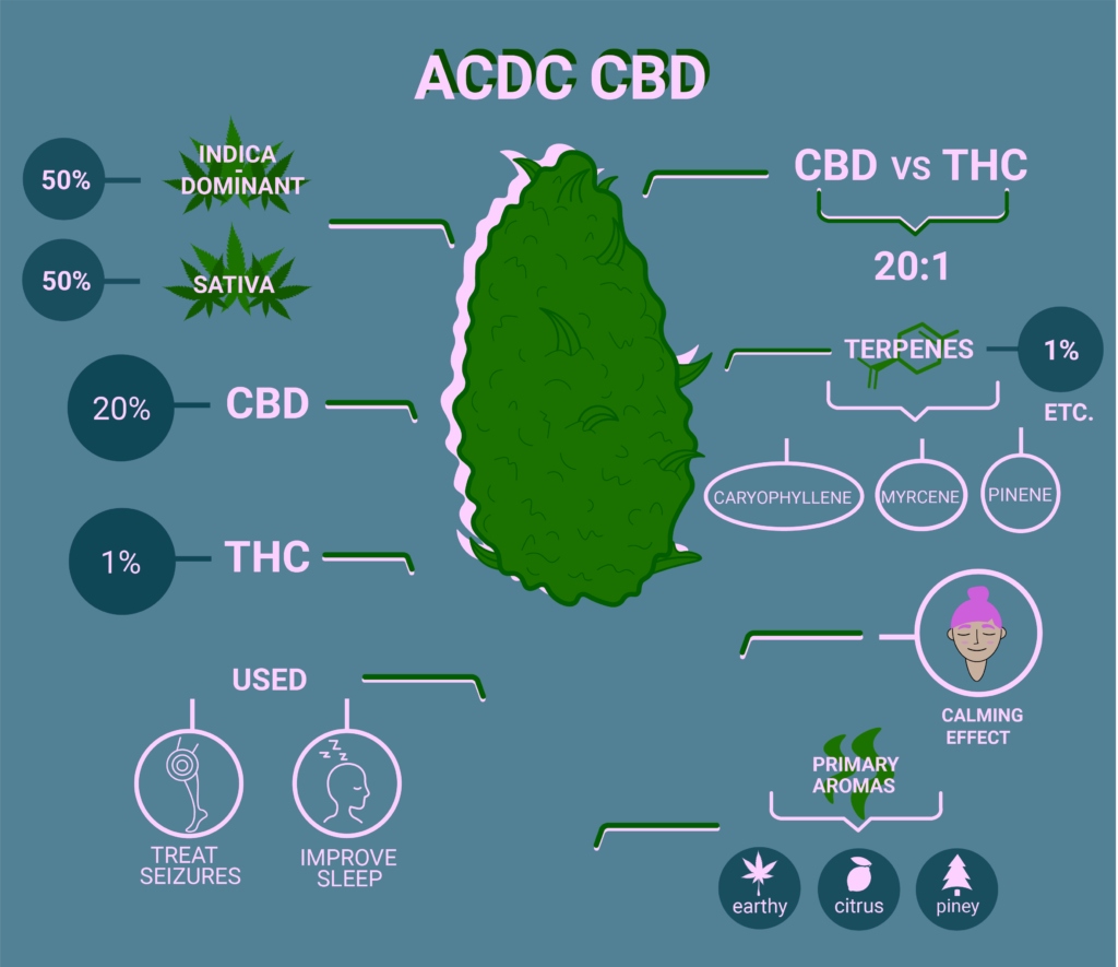 ACDC CBD strain