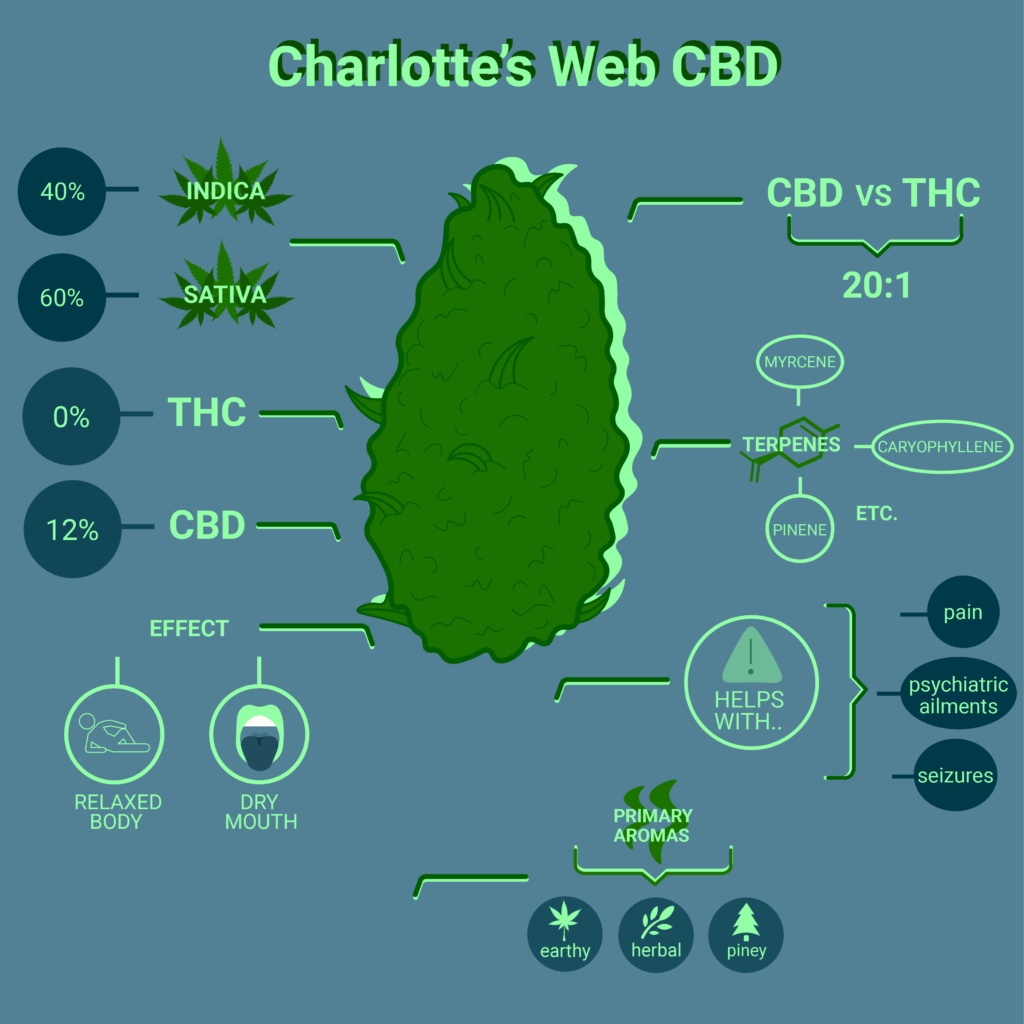 Charlotte’s Web CBD strain