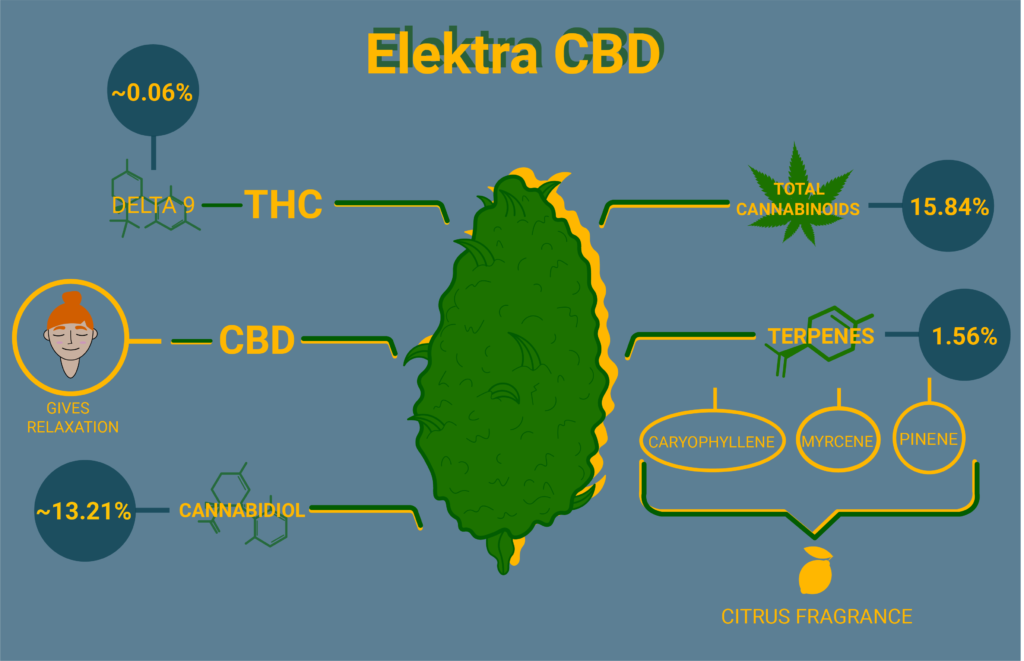 Elektra cbd strain