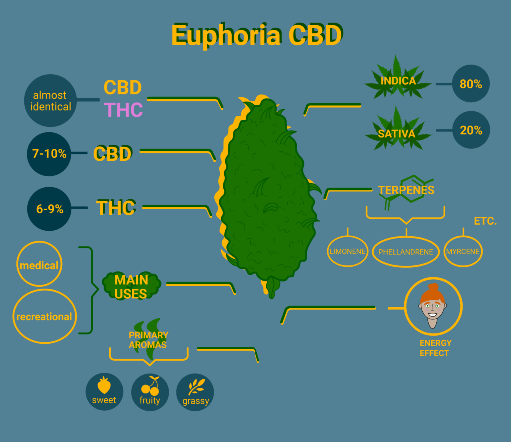 Euphoria CBD Strain