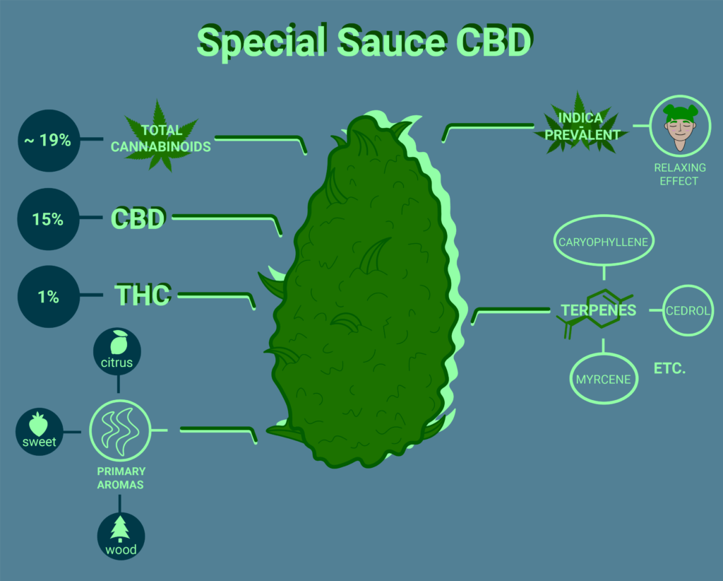 Special Sauce strain CBD benefits and medical usage - reviews