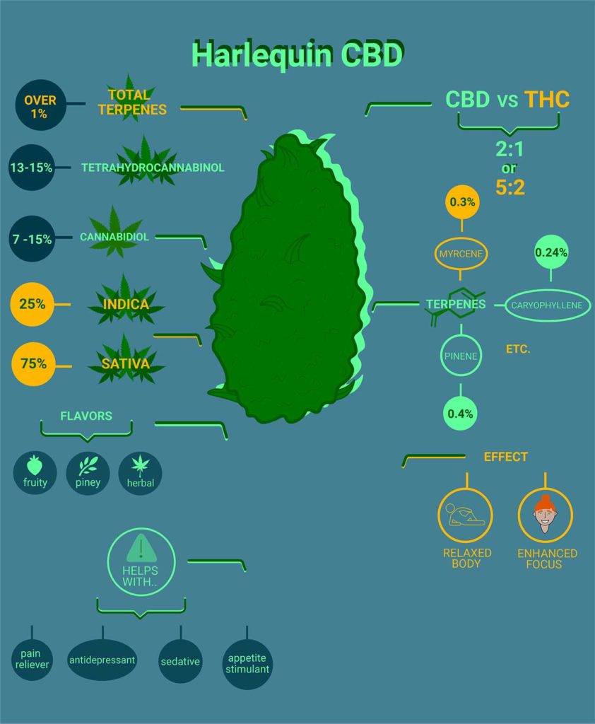 Harlequin CBD