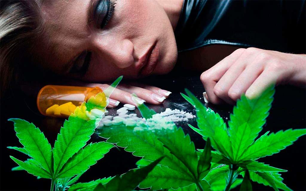 Cannabis addiction - how to deal with it? Expert instructions.