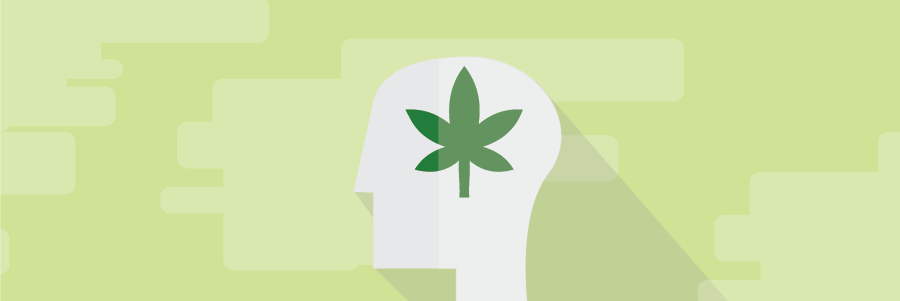 cannabis