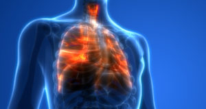 CBD-for-lung-diseases-300x159.jpg