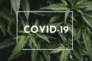 New Cannabis Trends for 2022