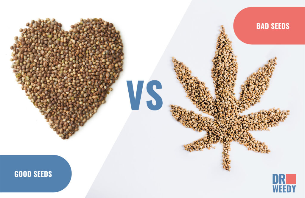 Good Seeds vs Bad Seeds