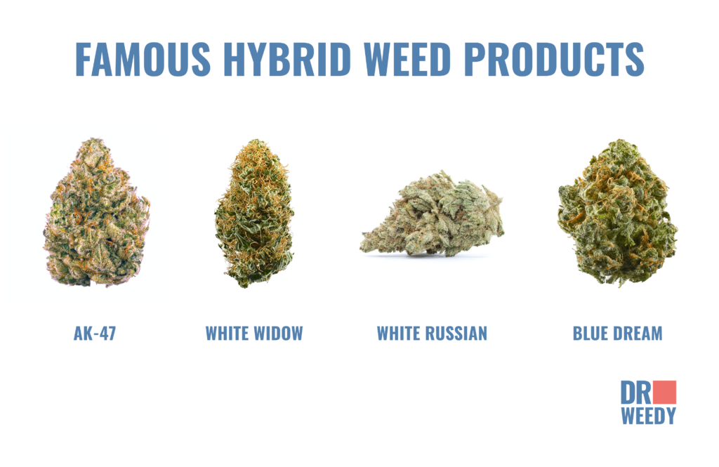 Famous Hybrid Weed Products