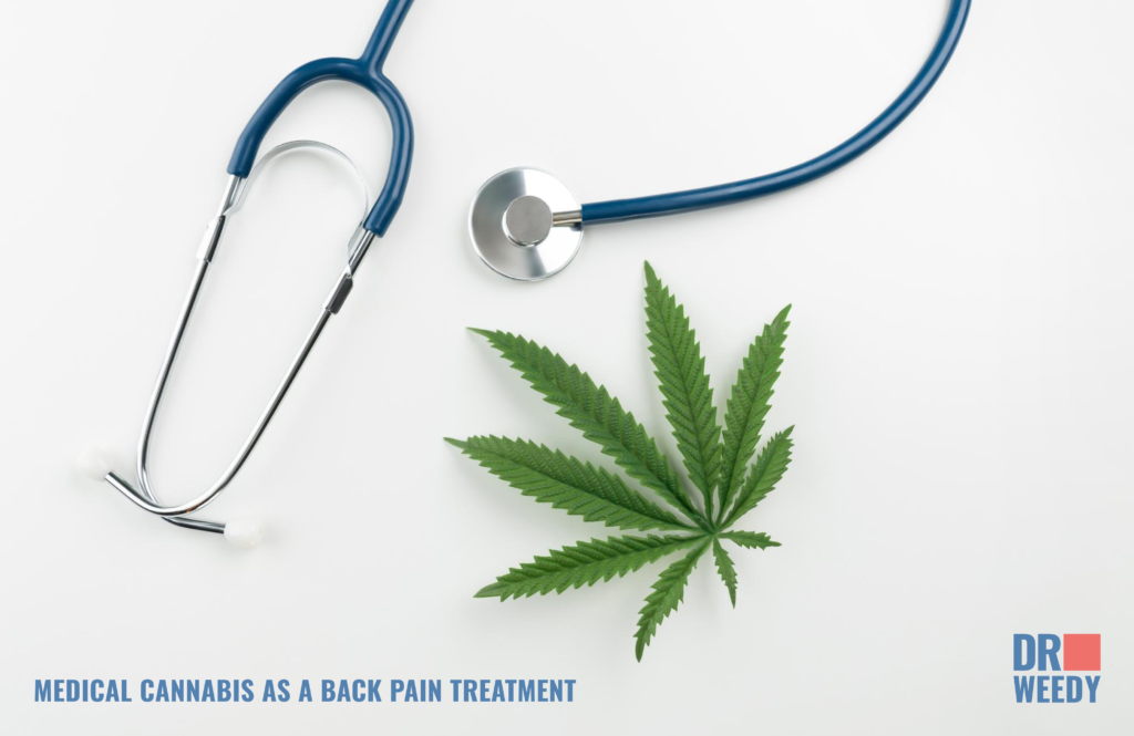 Medical Cannabis as a Back Pain Treatment