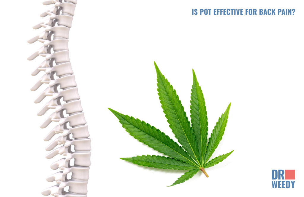 Is Pot Effective for Back Pain?