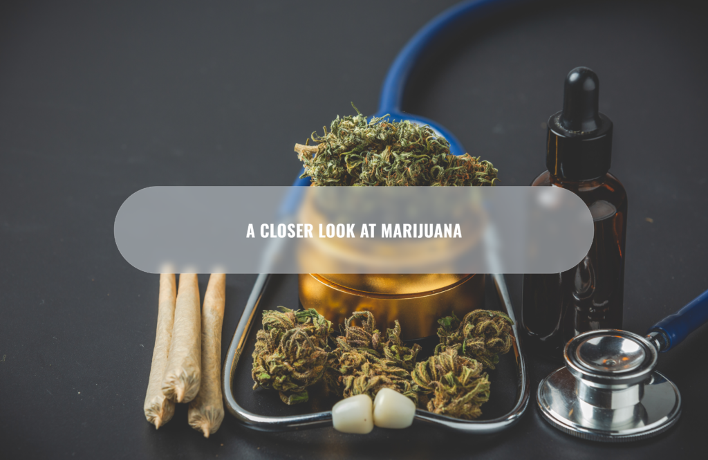 A Closer Look at Marijuana