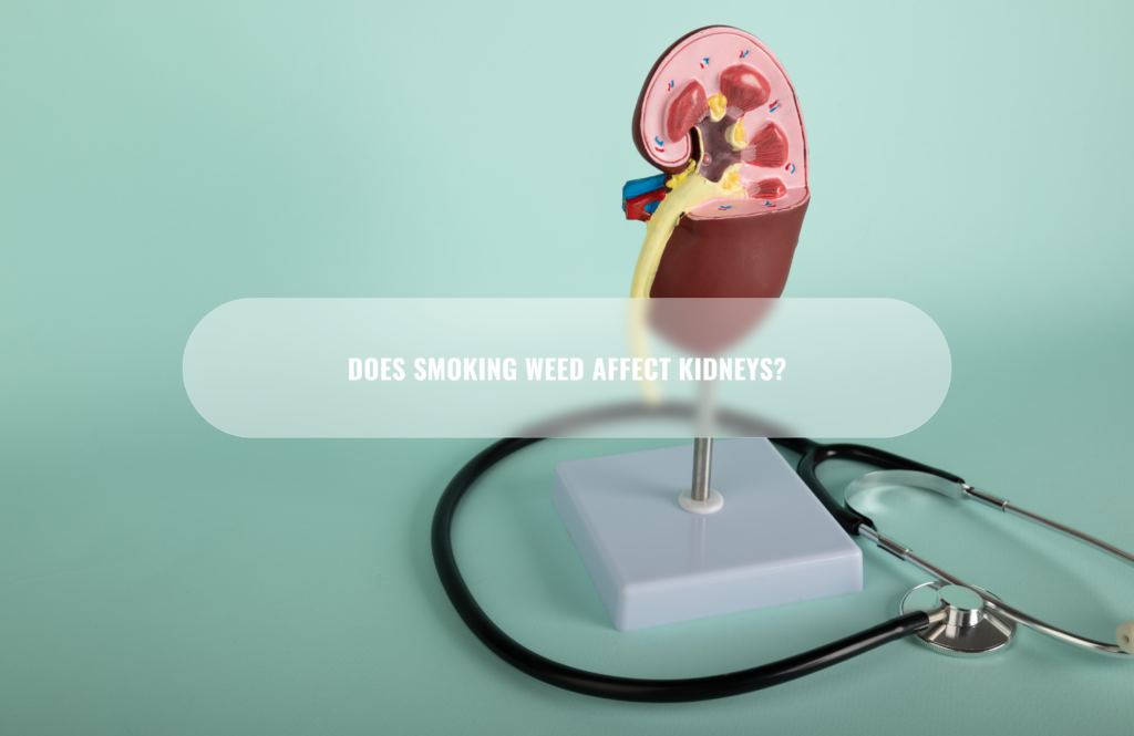Does smoking weed affect kidneys?