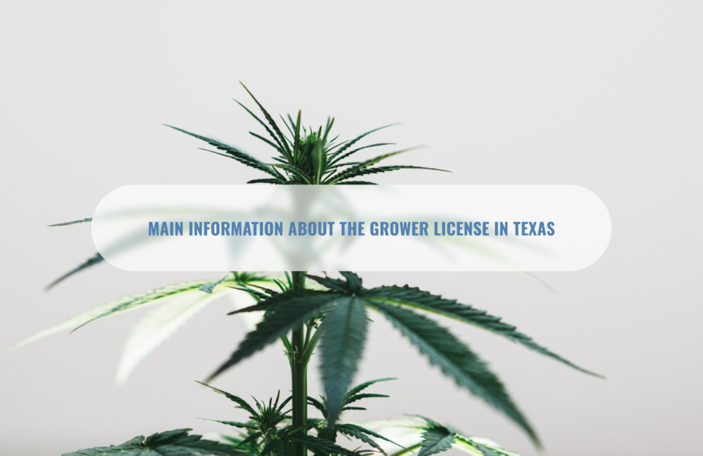 Main information about the grower license in Texas