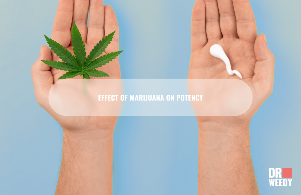 Effect of marijuana on potency