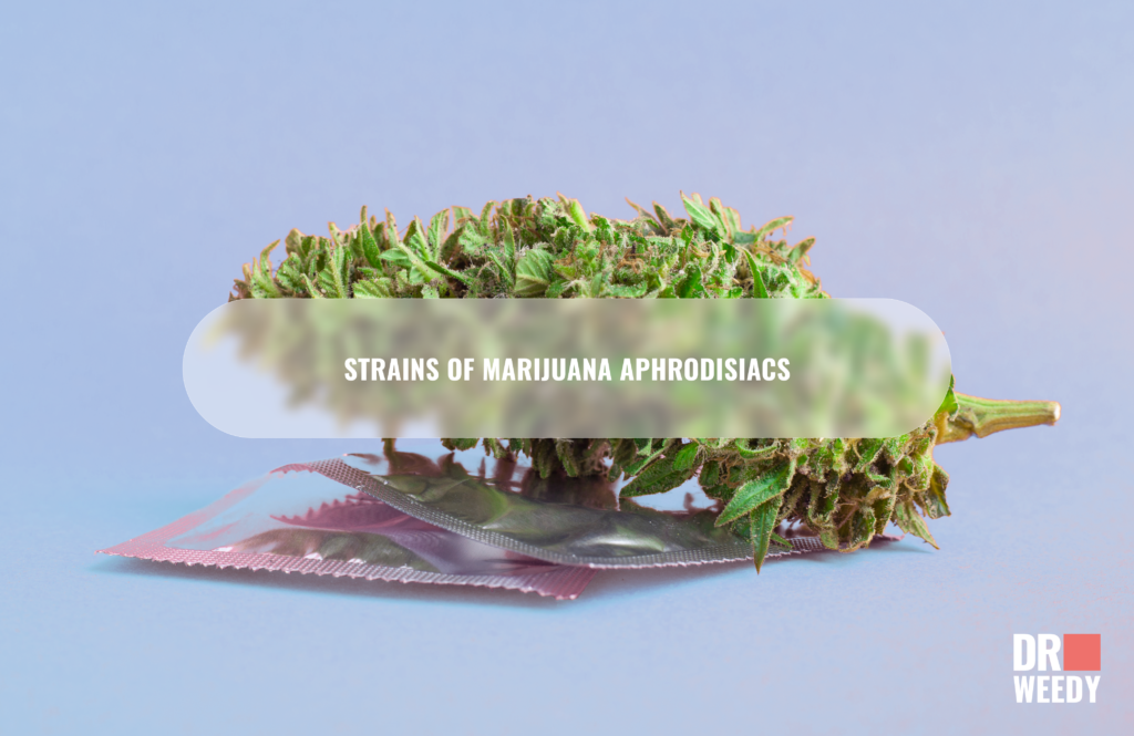 Strains of marijuana aphrodisiacs