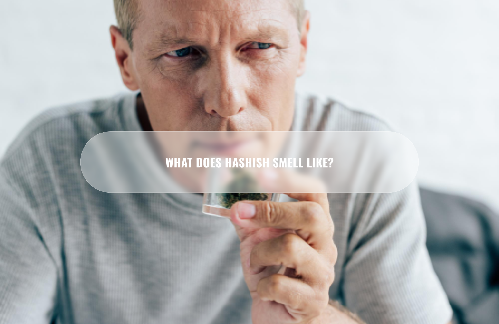 Why Does Weed Smell So Strong chemistry and composition of marijuana