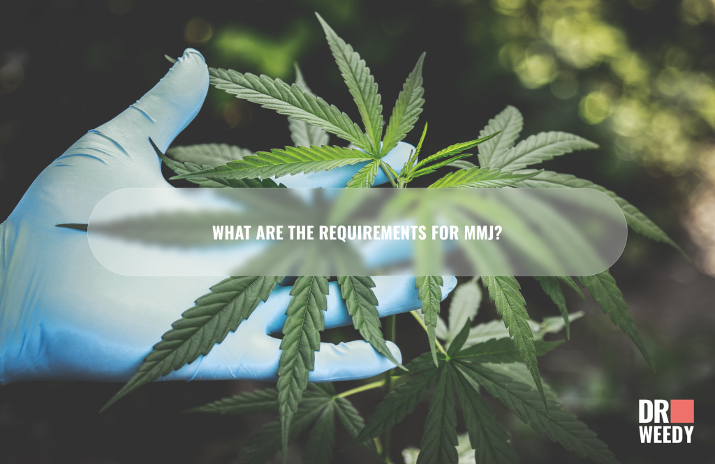 What are the Requirements for MMJ?