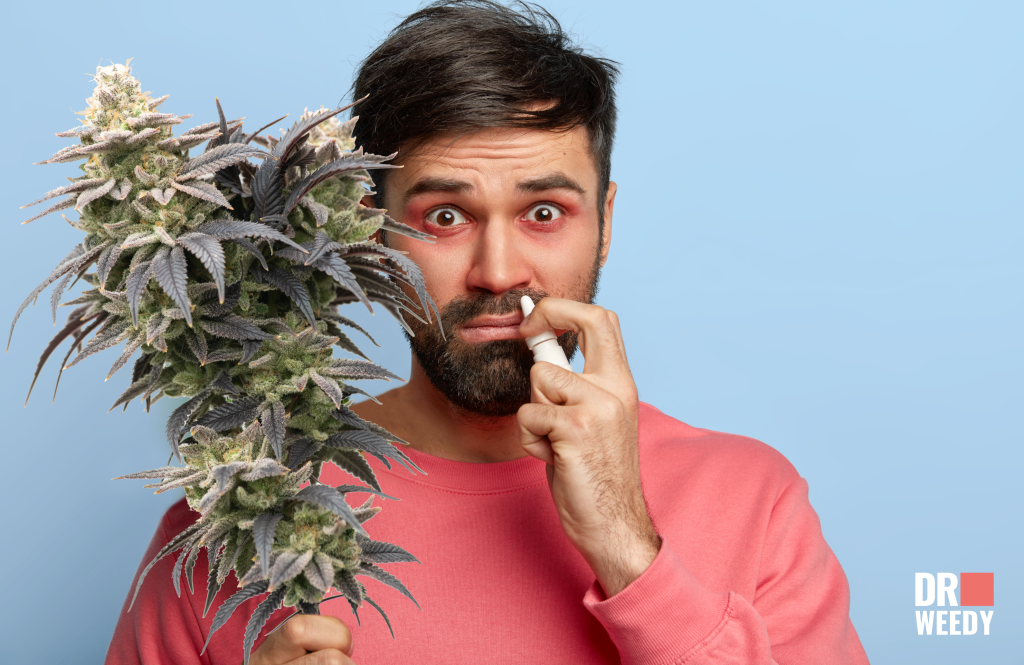 Marijuana and a cold — how weed affects the disease?