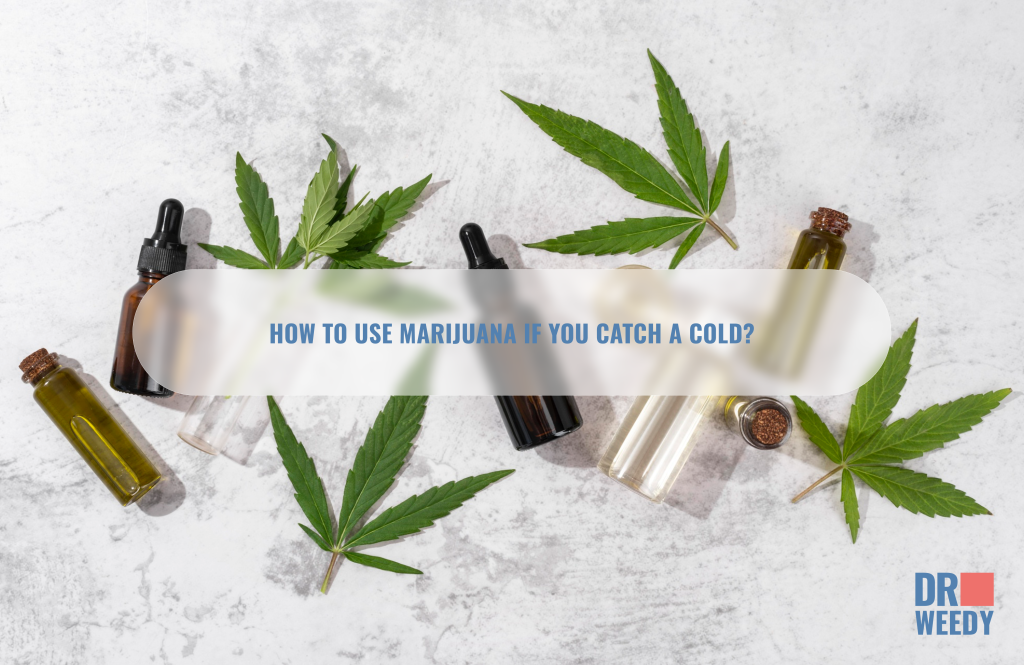 How to use marijuana if you catch a cold?