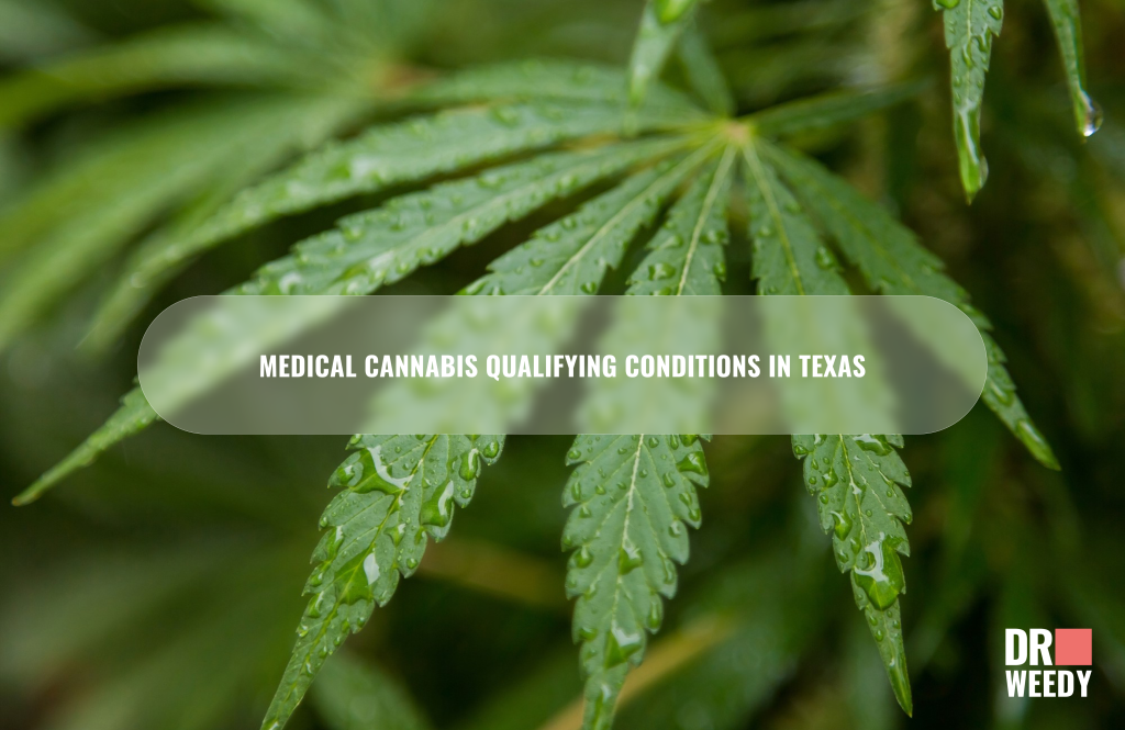 What you Need to Know About Texas Dispensaries