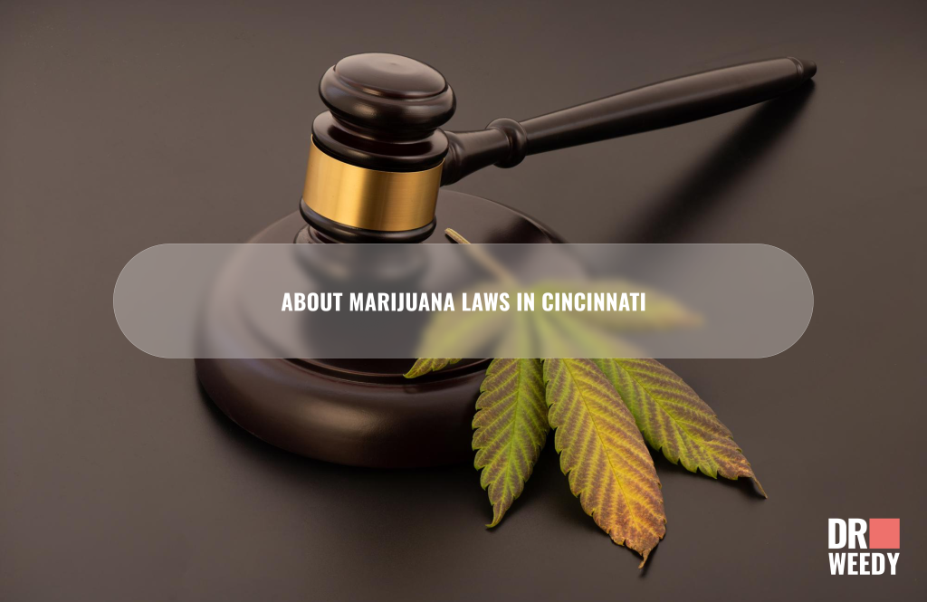 About Marijuana Laws in Cincinnati