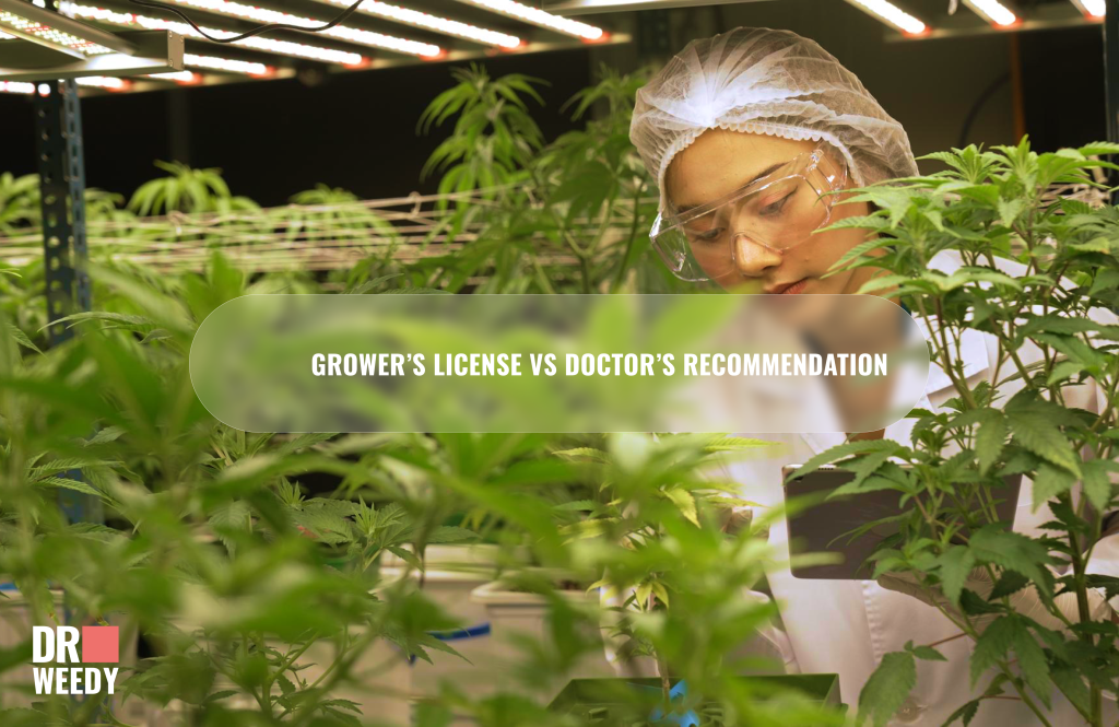 Grower's License VS Doctor's Recommendation