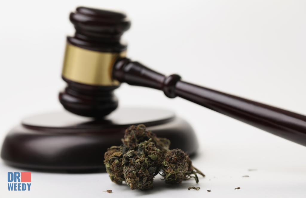 About Marijuana Laws in Dallas, Texas