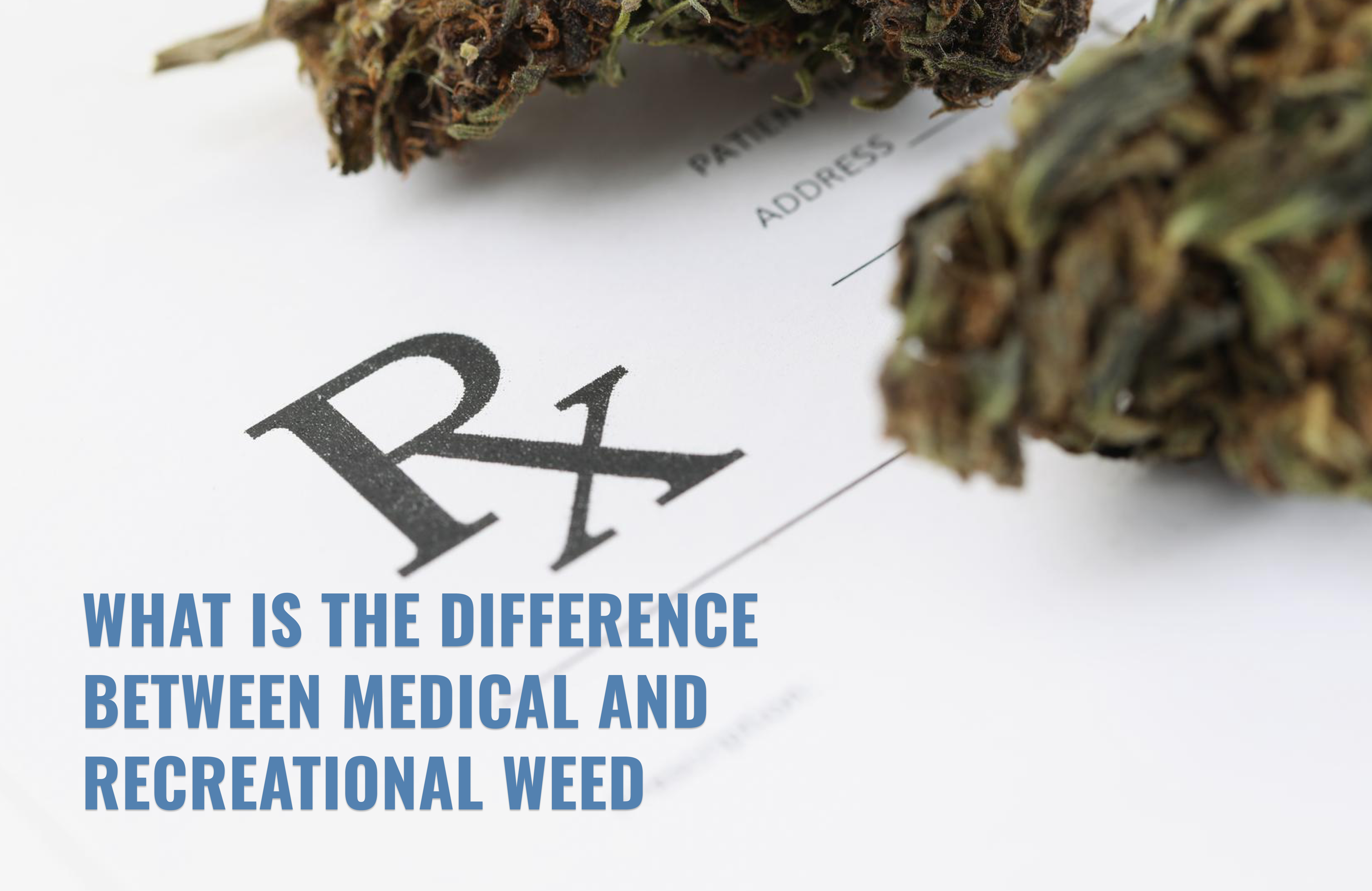 What Is The Difference Between Medical And Recreational Weed