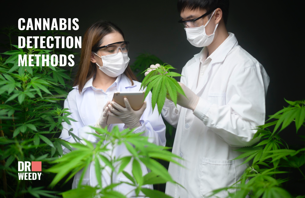 Cannabis detection methods