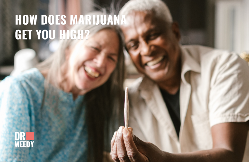 How Does Marijuana Get You High?
