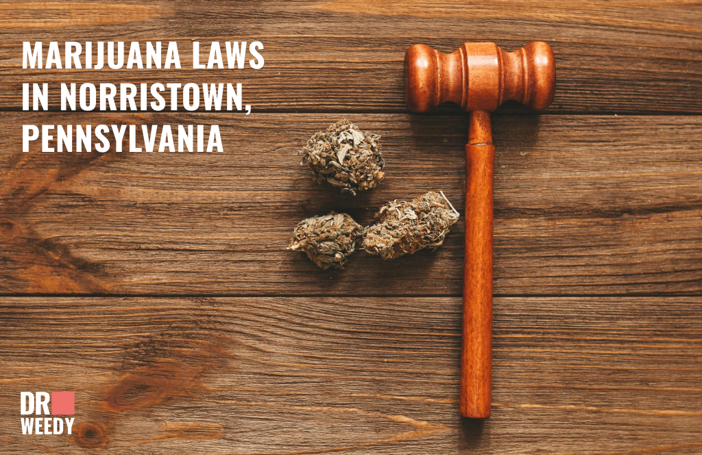 Marijuana Laws in Norristown, Pennsylvania