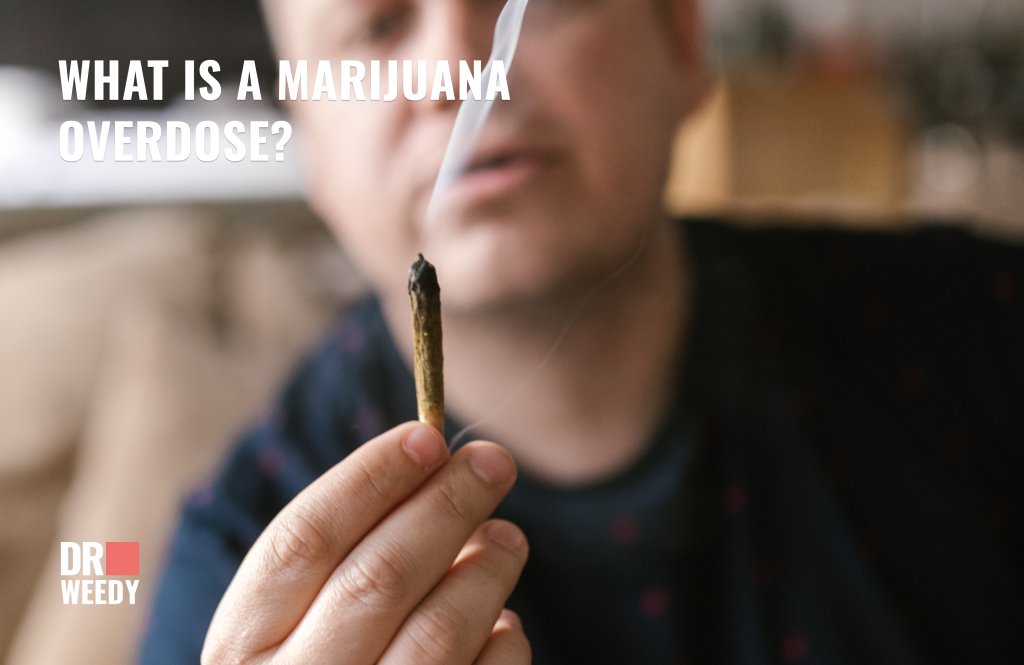 What is a marijuana overdose?