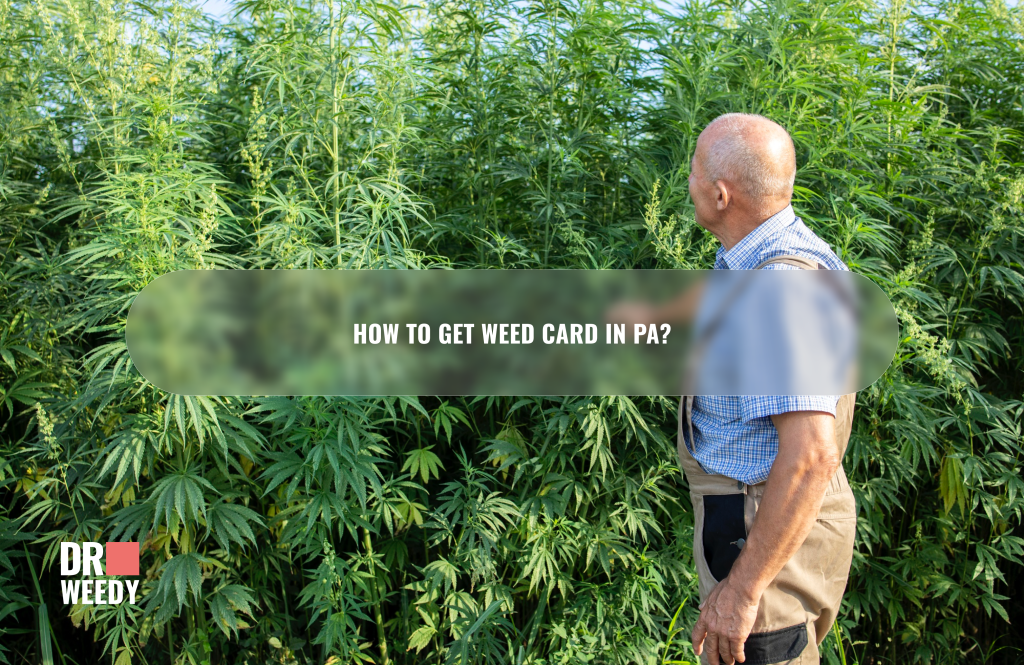 How To Get Weed Card In Pa?