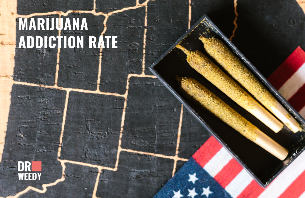 Marijuana Addiction Rate