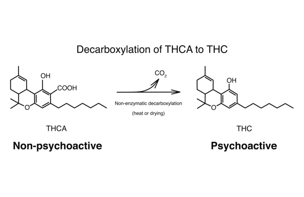 As can be seen from the figure, it is this additional CO2 that means the difference between THCA and THC.