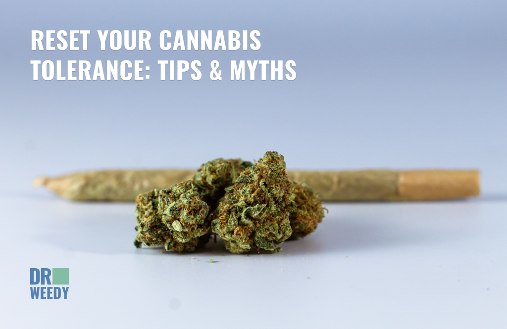 Reset Your Cannabis Tolerance: Tips & Myths - Are you tolerant to ...