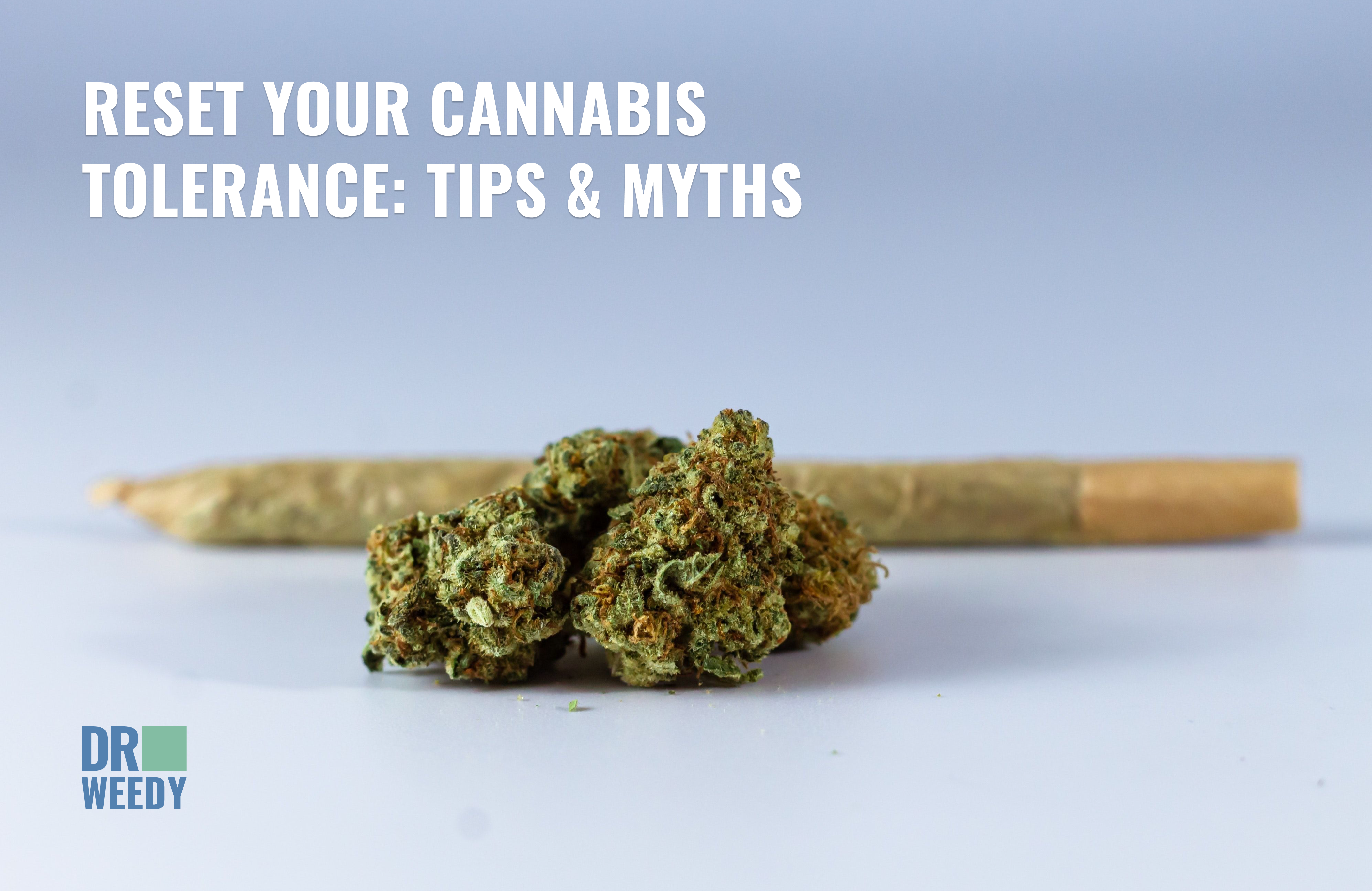 Reset Your Cannabis Tolerance: Tips & Myths