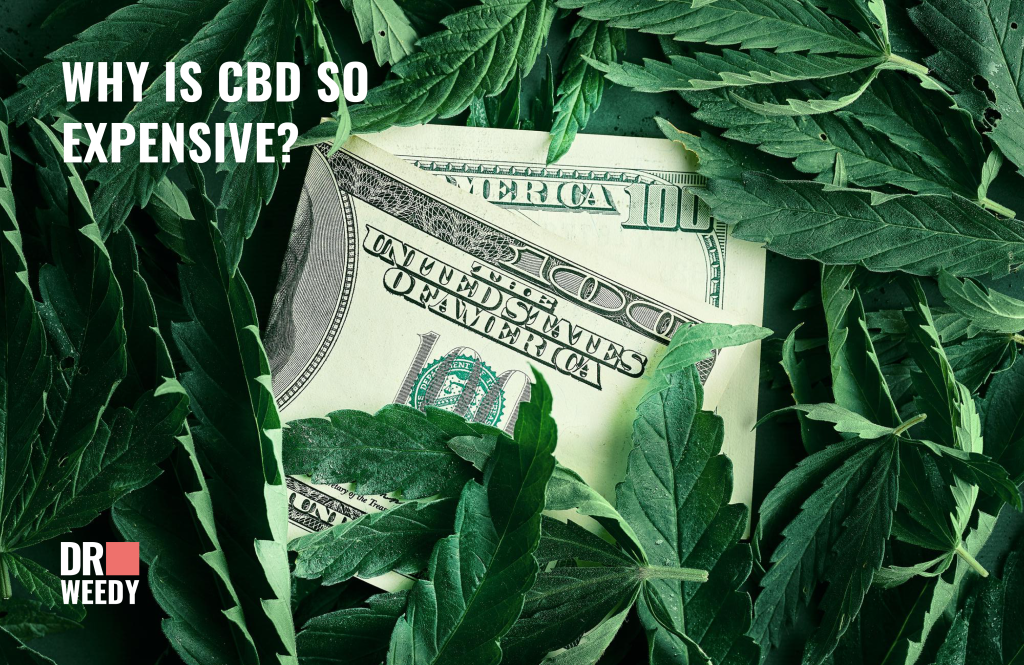 Why Is CBD Oil So Expensive - What Influences The Price Of Weed