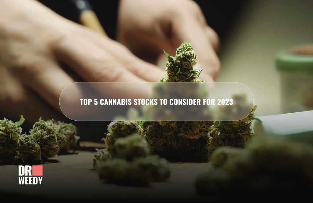 Top 5 Cannabis Stocks to Consider for 2023