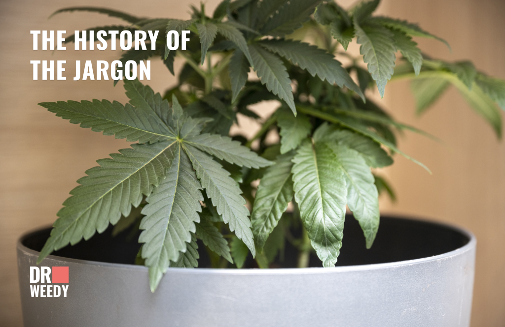 The history of the jargon - pot