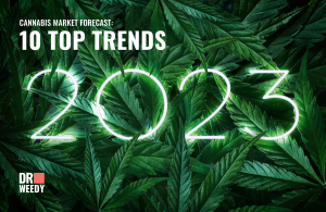Cannabis Market Forecast: 10 Top Trends